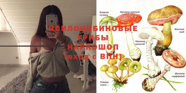 твердый Новокубанск