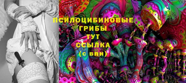 молекула духа Абинск