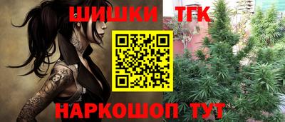 тгк Тула