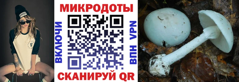 Галлюциногенные грибы GOLDEN TEACHER  гидра вход  Советский 