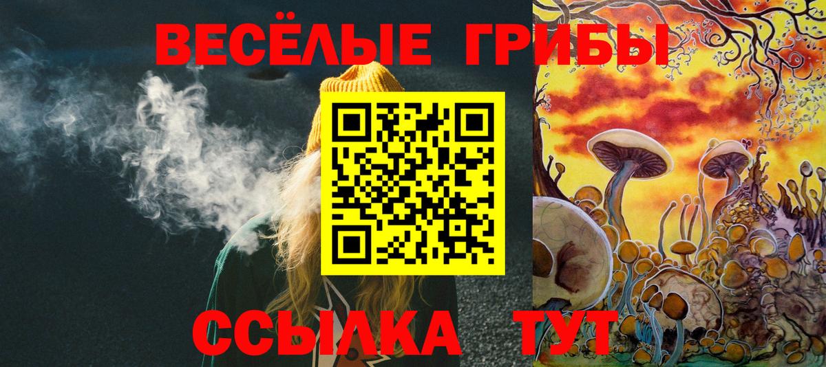 Псилоцибиновые грибы MAGIC MUSHROOMS  Вход с VPN  что такое наркотик  Советский 