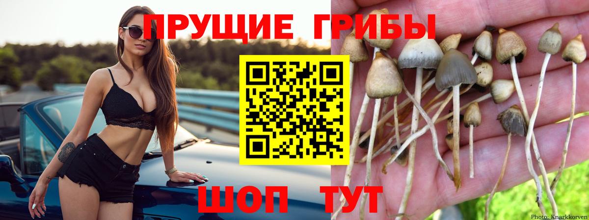Галлюциногенные грибы MAGIC MUSHROOMS Советский